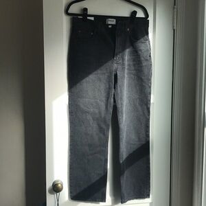 Agolde Valen Vintage Jean